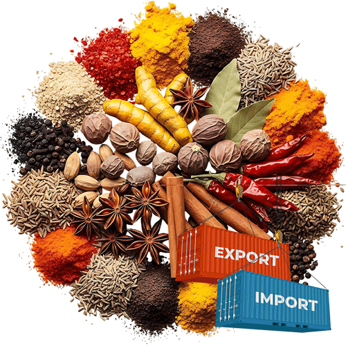 Allspice Suppliers in Maharashtra