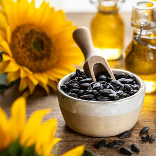 Sunflower Seed Suppliers in Delhi