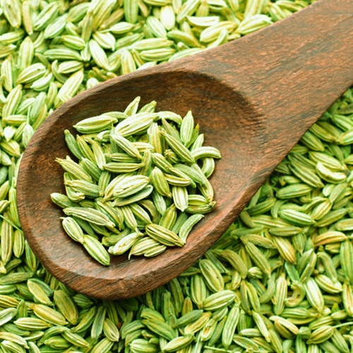 Fennel Seeds Suppliers in Delhi
