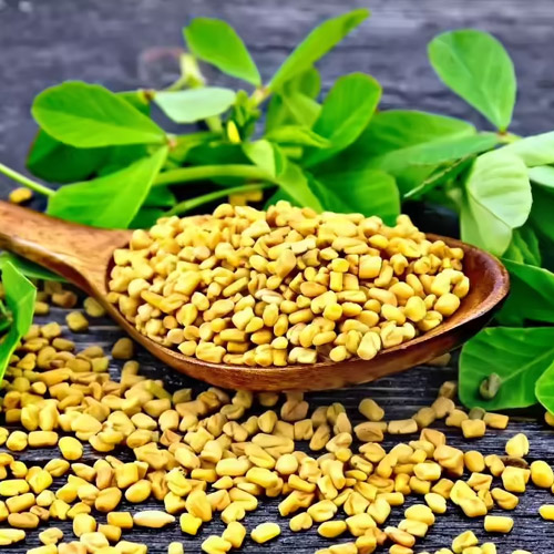 Fenugreek Suppliers in Delhi