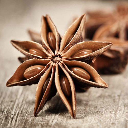 Star Anise Suppliers in Delhi
