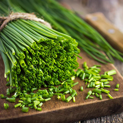 Chives Suppliers in Delhi