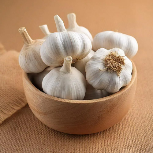 Garlic Suppliers in Delhi