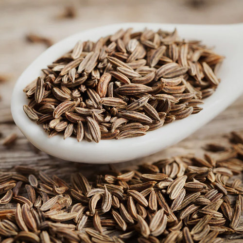 Cumin Seeds Suppliers in Delhi