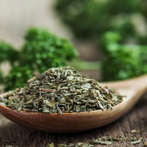Parsley Suppliers in Delhi