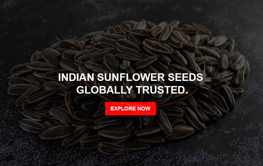 Sunflower Seeds