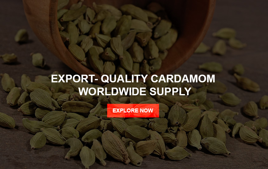 Cardamom