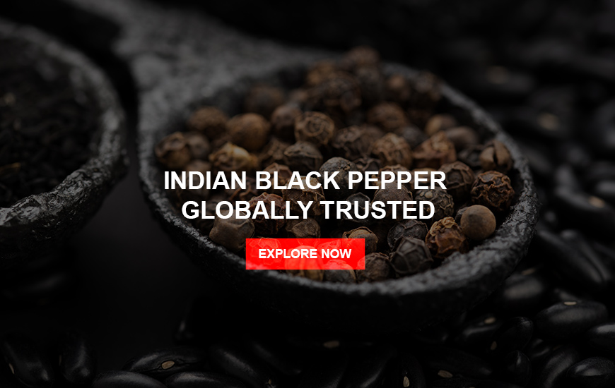 Black Pepper