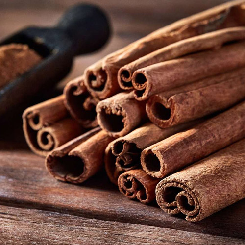 Cassia Suppliers in Delhi