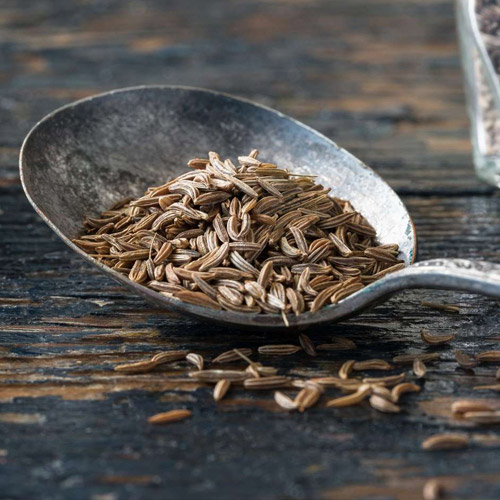 Caraway Suppliers in Delhi